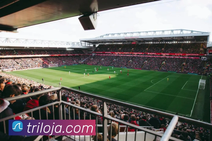 体育赛事
